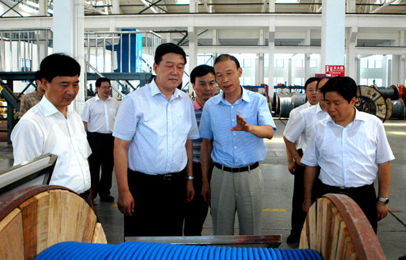 常州市代市长姚晓东一行来mg不朽情缘集团视察