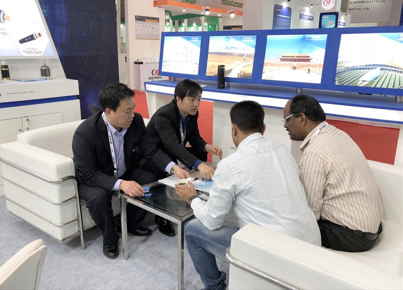 mg不朽情缘电缆亮相印度新德里备受关注