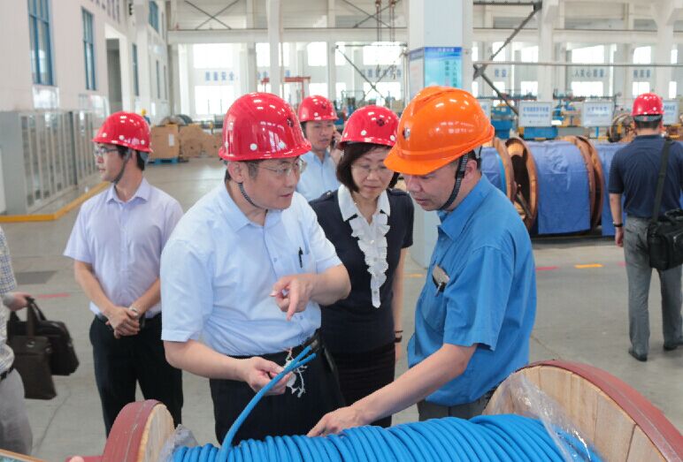 2016年7月22日，，，，，，泸州市委常委、副市长王建翔一行来mg不朽情缘电缆旅行考察