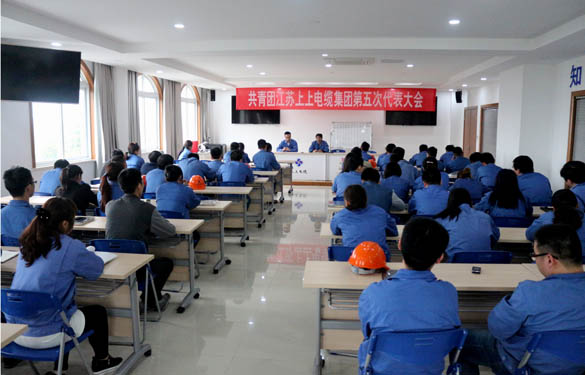 2016年4月20日，，，，，，共青团mg不朽情缘第五次代表大会召开