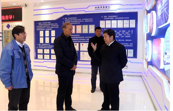 国家质检总局质量治理司司长黄国梁一行来mg不朽情缘电缆调研