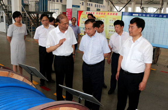 江苏省副省长傅自应来mg不朽情缘集团视察