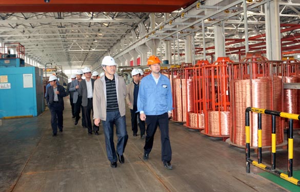 2015年11月3日，，，，新泰市党政代表团来mg不朽情缘电缆考察