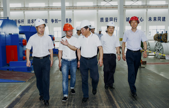 金坛区党政向导来mg不朽情缘电缆旅行考察