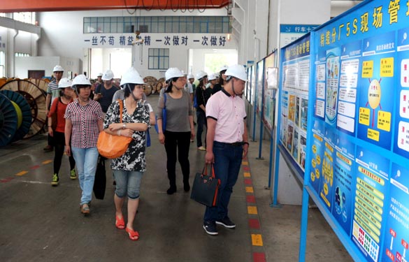 江苏大学与泰州市企业治理专家来mg不朽情缘电缆观摩