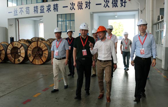 靖江市、溧阳市青商会齐聚mg不朽情缘电缆旅行交流