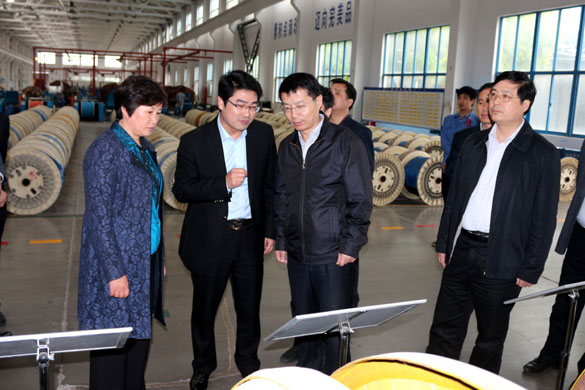 巢湖市委副书记张生一行来mg不朽情缘集团旅行考察