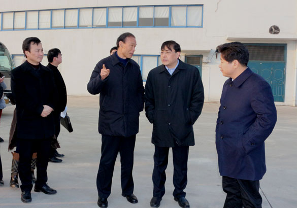 常州市市长费高云一行来mg不朽情缘督查新开工项目