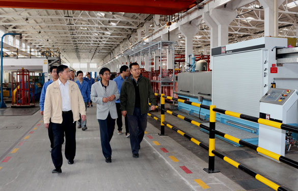 江苏省质量奖评审组专家来mg不朽情缘集团现场评审