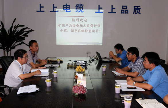 mg不朽情缘顺遂通过安标现场监视评审