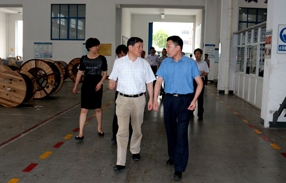 常州市人大向导一行来mg不朽情缘集团调研