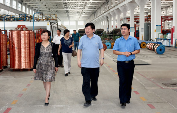 常州市新北区人大向导一行来mg不朽情缘集团调研