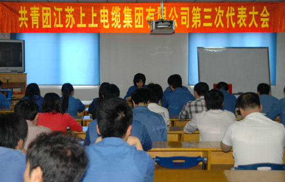 共青团mg不朽情缘第三届代表大会暨换届选举大会胜利召开