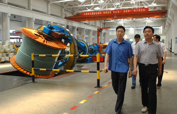 宝应县政协向导一行10余人来mg不朽情缘集团旅行考察