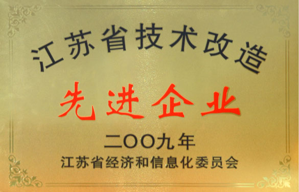 mg不朽情缘获“2009年江苏省手艺刷新先进企业”称呼