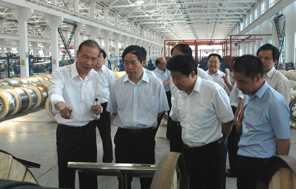 江苏省省长助理、省科技厅厅长徐南平来mg不朽情缘集团调研