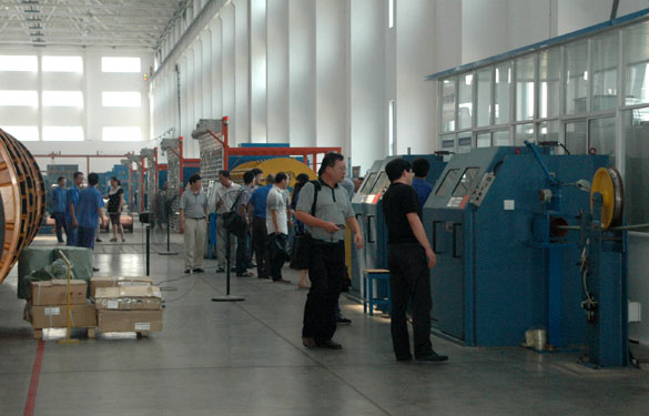 mg不朽情缘集团110kV电缆顺遂通过绍兴电力局等部分联合验收