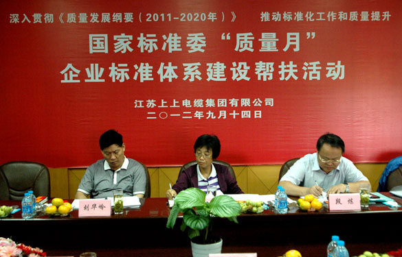 国标委“质量月”专家组到mg不朽情缘检查指导事情