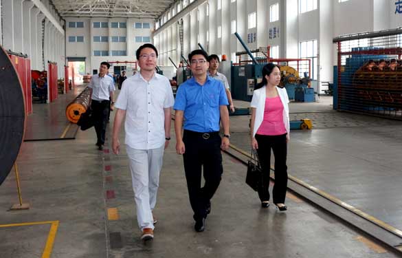 9月10日，，，，，溧阳市副市长陈安一行来mg不朽情缘电缆调研