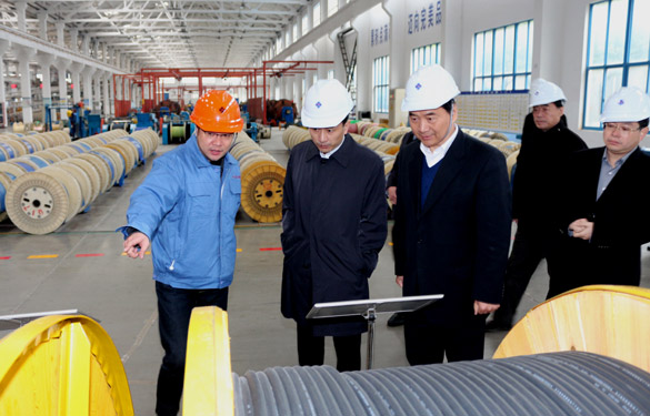 12月3日，，，，，无锡市锡山区党政代表团一行来mg不朽情缘电缆旅行考察