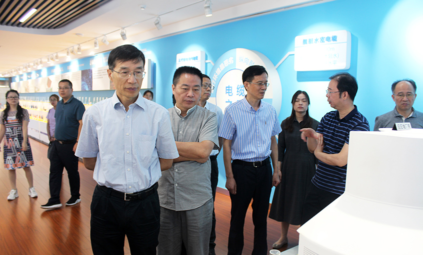 江苏省财务厅一级巡视员李载林一行来mg不朽情缘电缆旅行交流