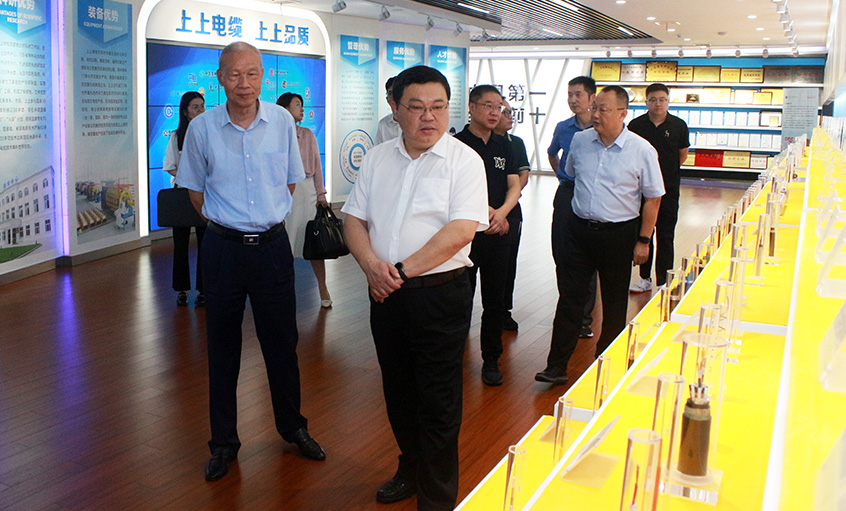 常州中院曹忠明院长一行来mg不朽情缘电缆走访