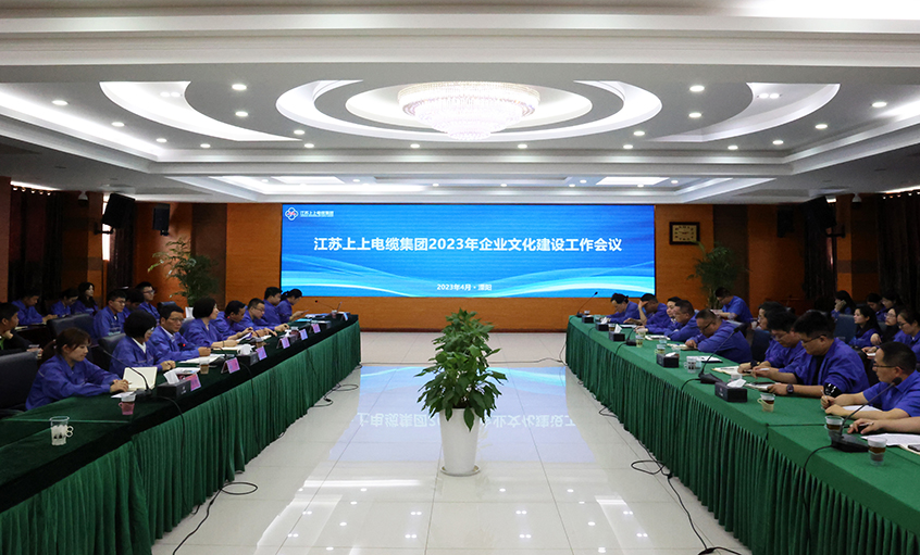 mg不朽情缘电缆召开2023年企业文化建设事情聚会