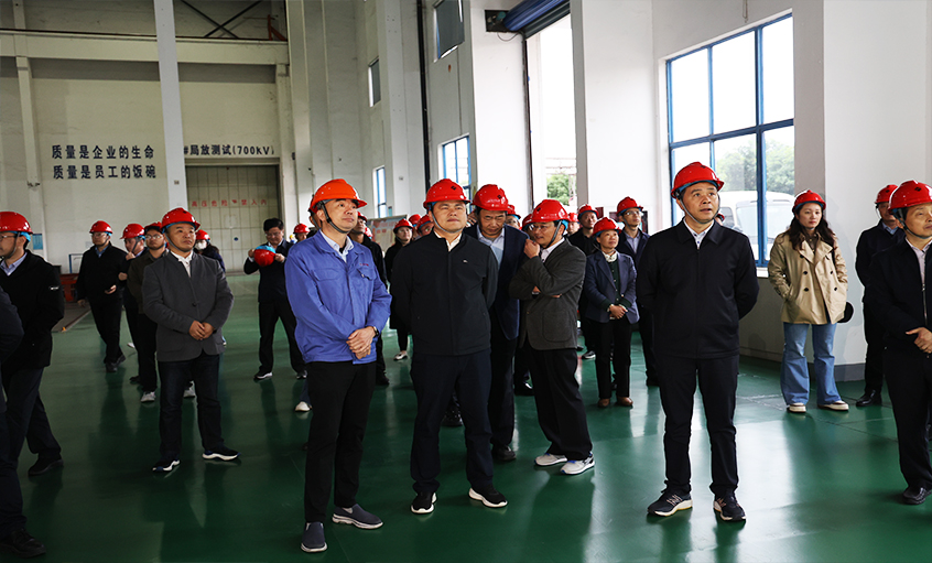 安徽池州青阳县党政代表团一行来mg不朽情缘电缆考察