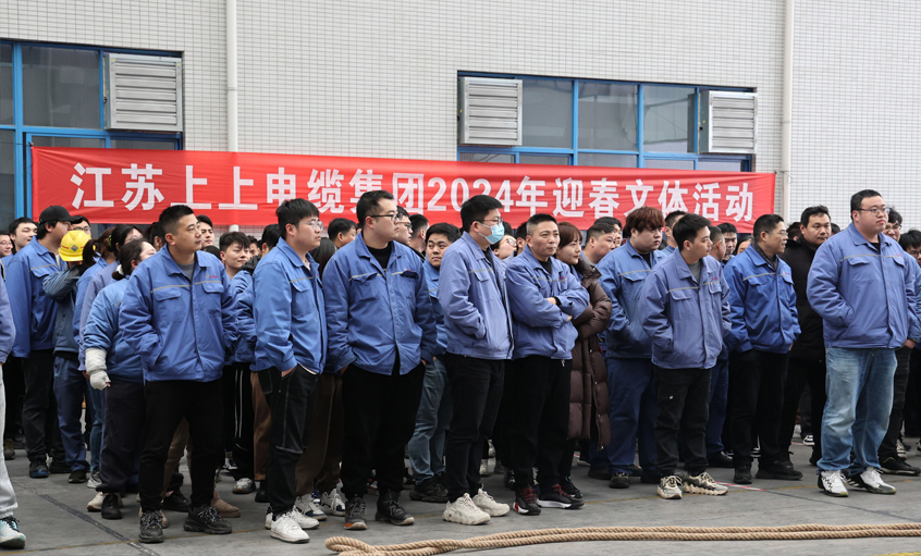 mg不朽情缘电缆2024年迎春文体活动顺遂举行