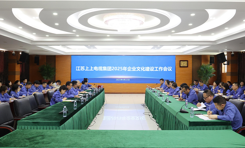 mg不朽情缘电缆召开2025年企业文化建设事情聚会