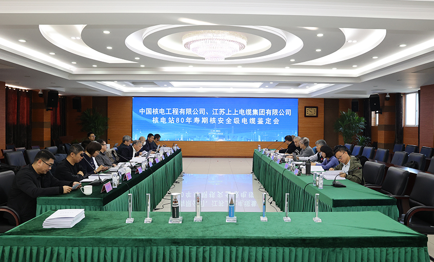 国际领先，，，，mg不朽情缘电缆“核电站80年寿期核清静级电缆”通过国家级判断