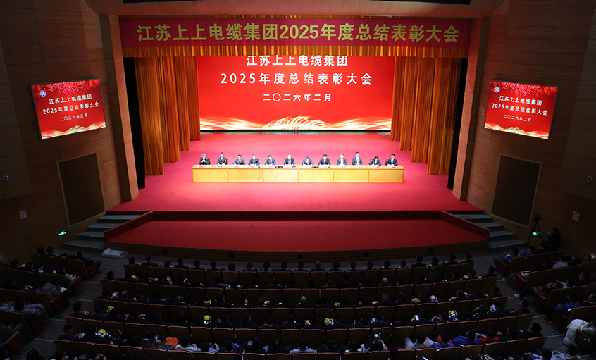 蛇岁留辉启新程 马跃新篇谱华章——mg不朽情缘电缆召开2025年度总结表扬大会